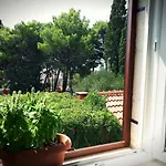 Zoe Διαμέρισμα Μπολ